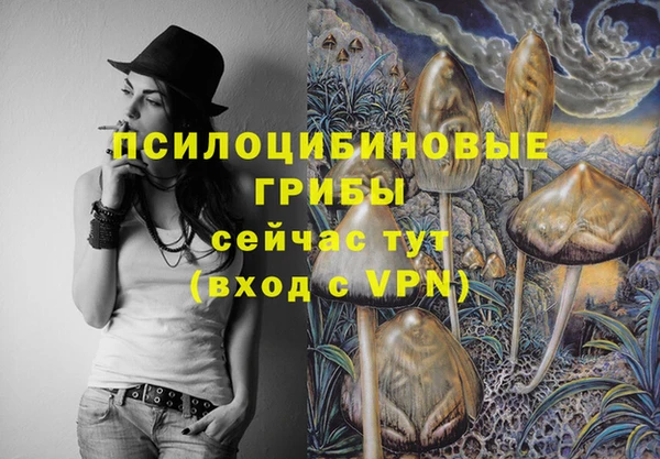 соль ск Снежногорск