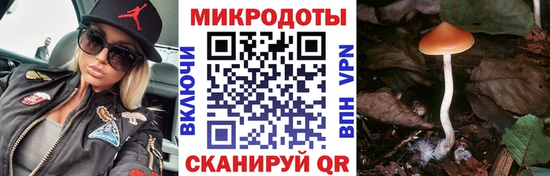 Галлюциногенные грибы GOLDEN TEACHER  купить наркоту  Сосногорск 